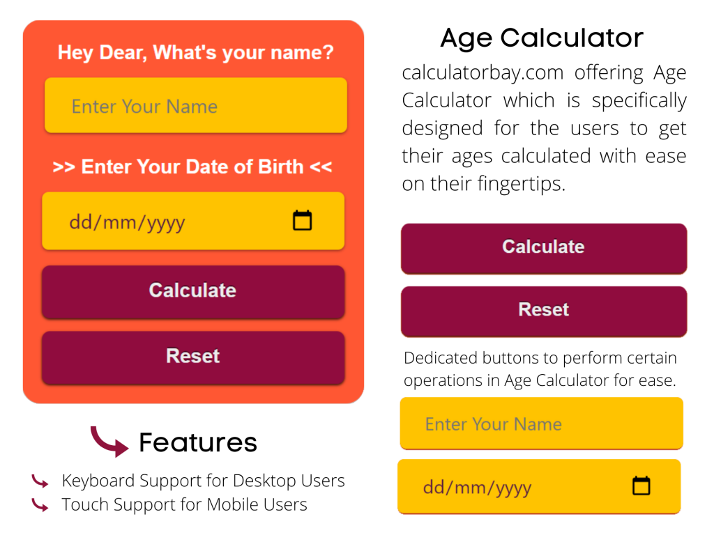 Age Calculator Calculate Your Age Online Calculator Bay